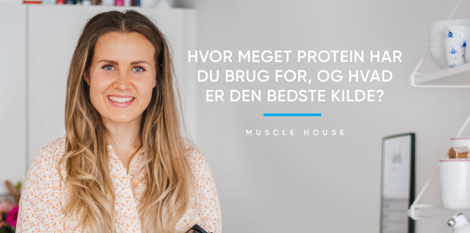 De bedste proteinkilder