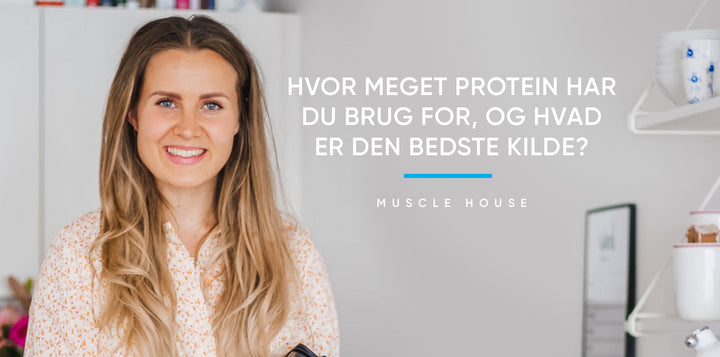 De bedste proteinkilder