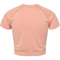 Hummel CI Seamless Cropped T-shirt - Canyon Sunset Melange