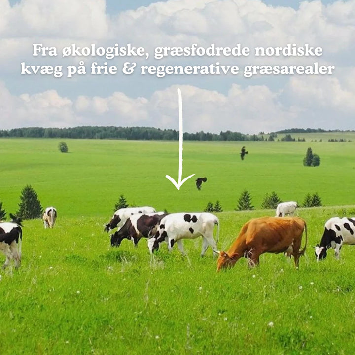 Functional Future Økologisk Bone Broth Kollagen (250g)