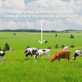 Functional Future Økologisk Bone Broth Kollagen (300 stk)