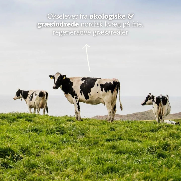 Functional Future Økologisk Okselever (200 stk)