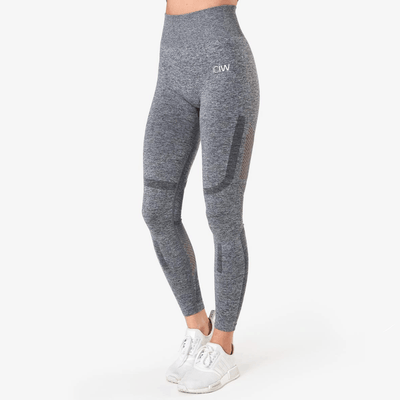 ICIW Queen Mesh Tights Grey Melange Wmn - MuscleHouse.dk