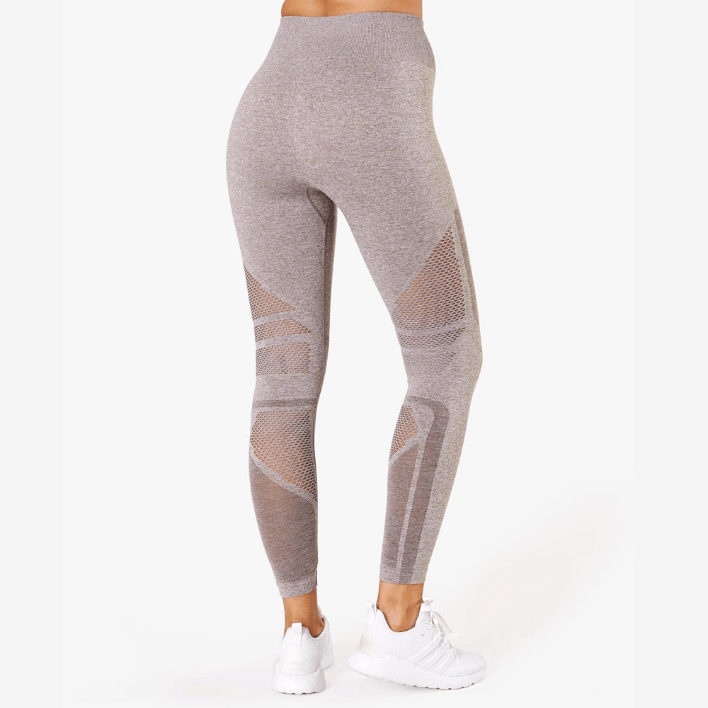 Icaniwill queen mesh tights hot sale
